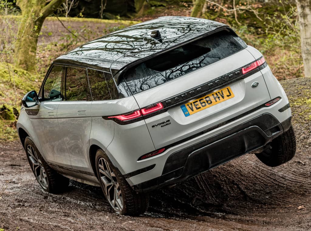 Evoque en terreno natural, realzando su elegancia y dinamismo.