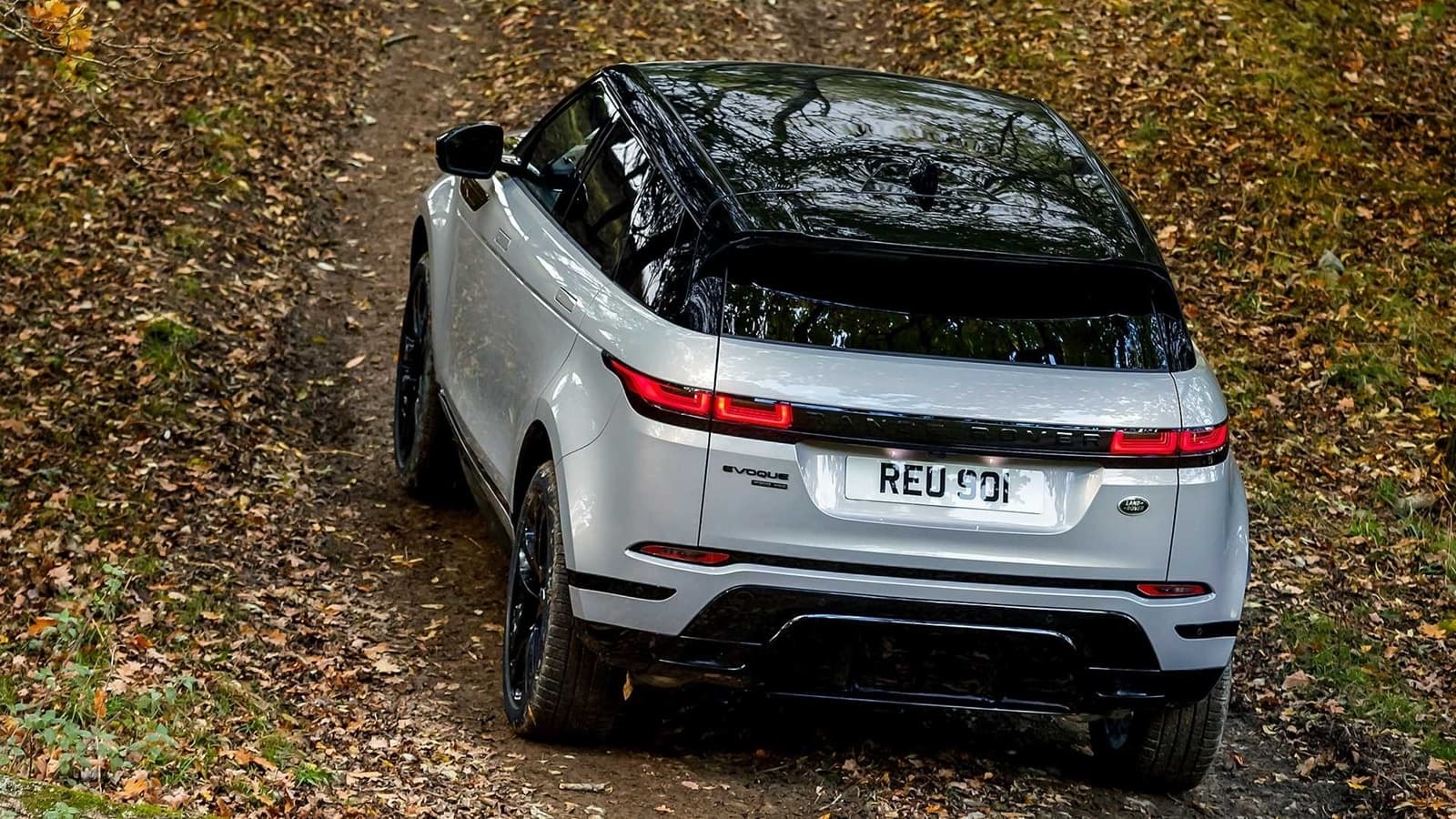 Evoque abandonando el bosque, una combinación de tecnología y naturaleza
