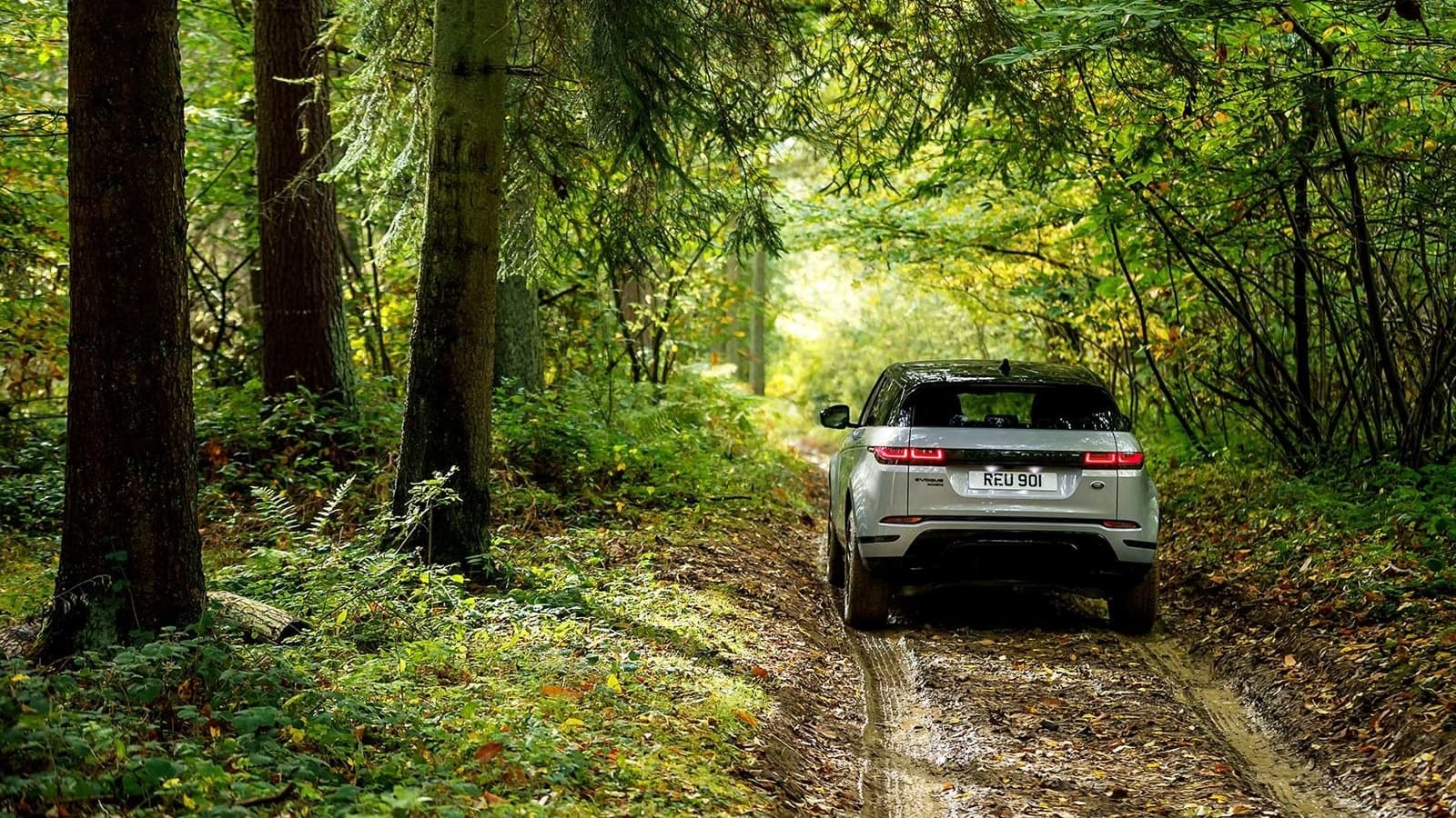 El Evoque demuestra su capacidades off-road en un camino forestal.