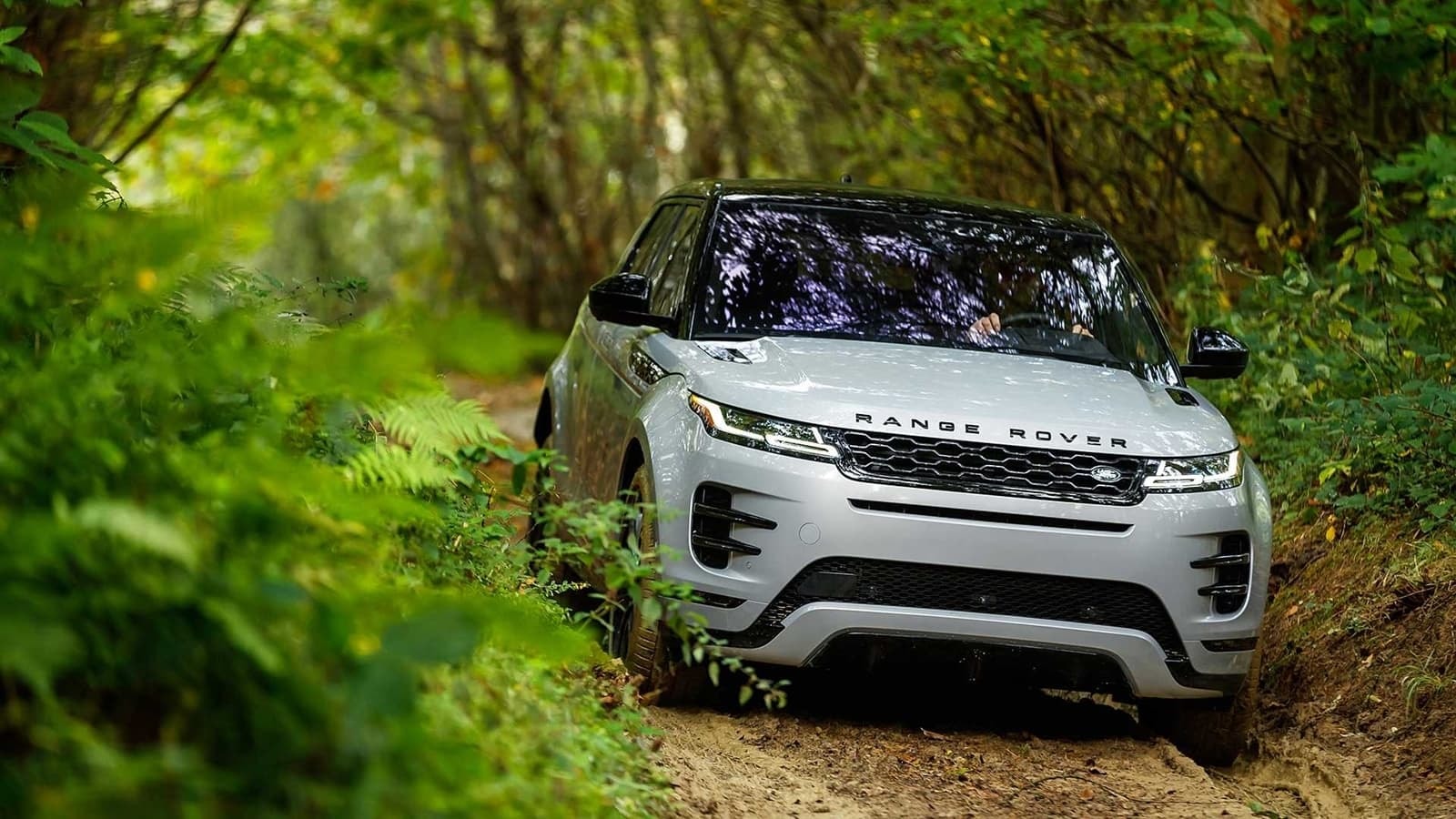 El Range Rover Evoque en su elemento, perfecto para aventuras en la naturaleza