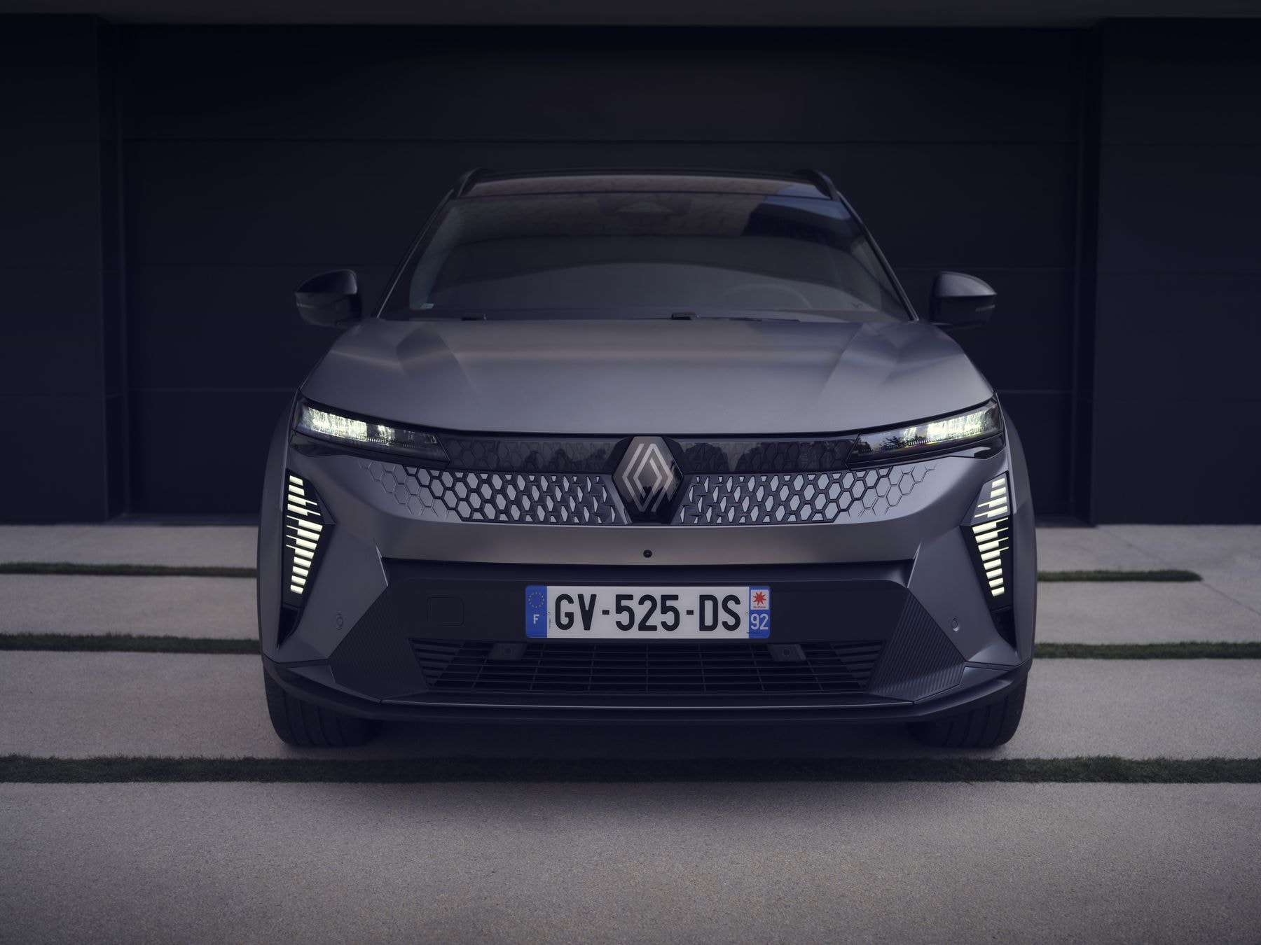 Estudio en la naturaleza, donde se destaca su silueta y formas aerodinámicas.