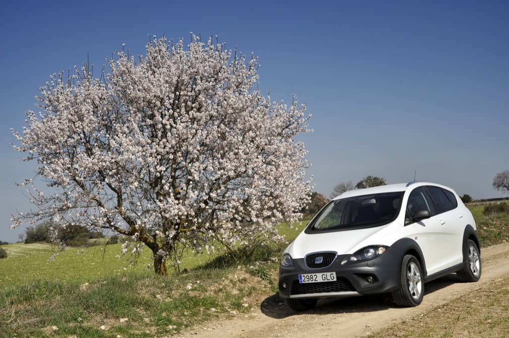 SEAT Altea freetrack