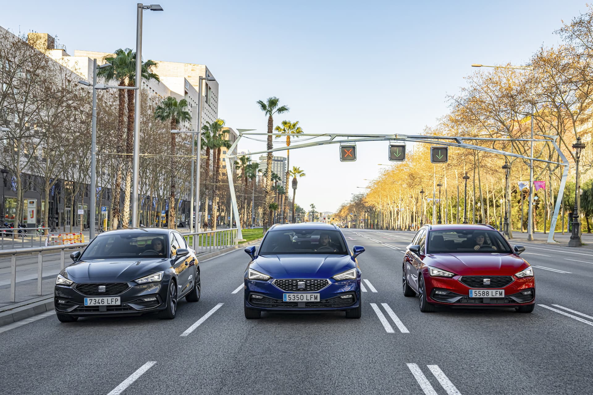 Diferentes versiones del SEAT León, todas luciendo atractivas.