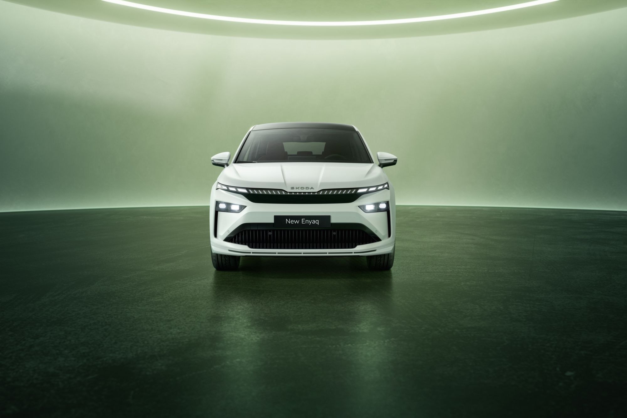 Vista trasera detallada, enfatizando el diseño y la marca SKODA.