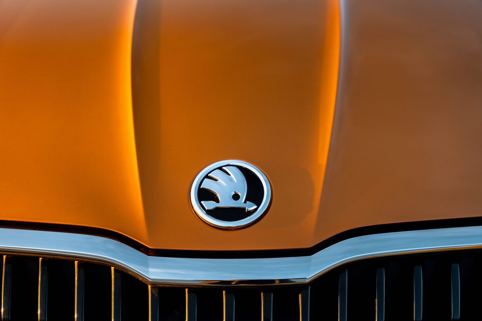 Vista de la luz trasera del Skoda Fabia, que demuestra su moderno diseño.