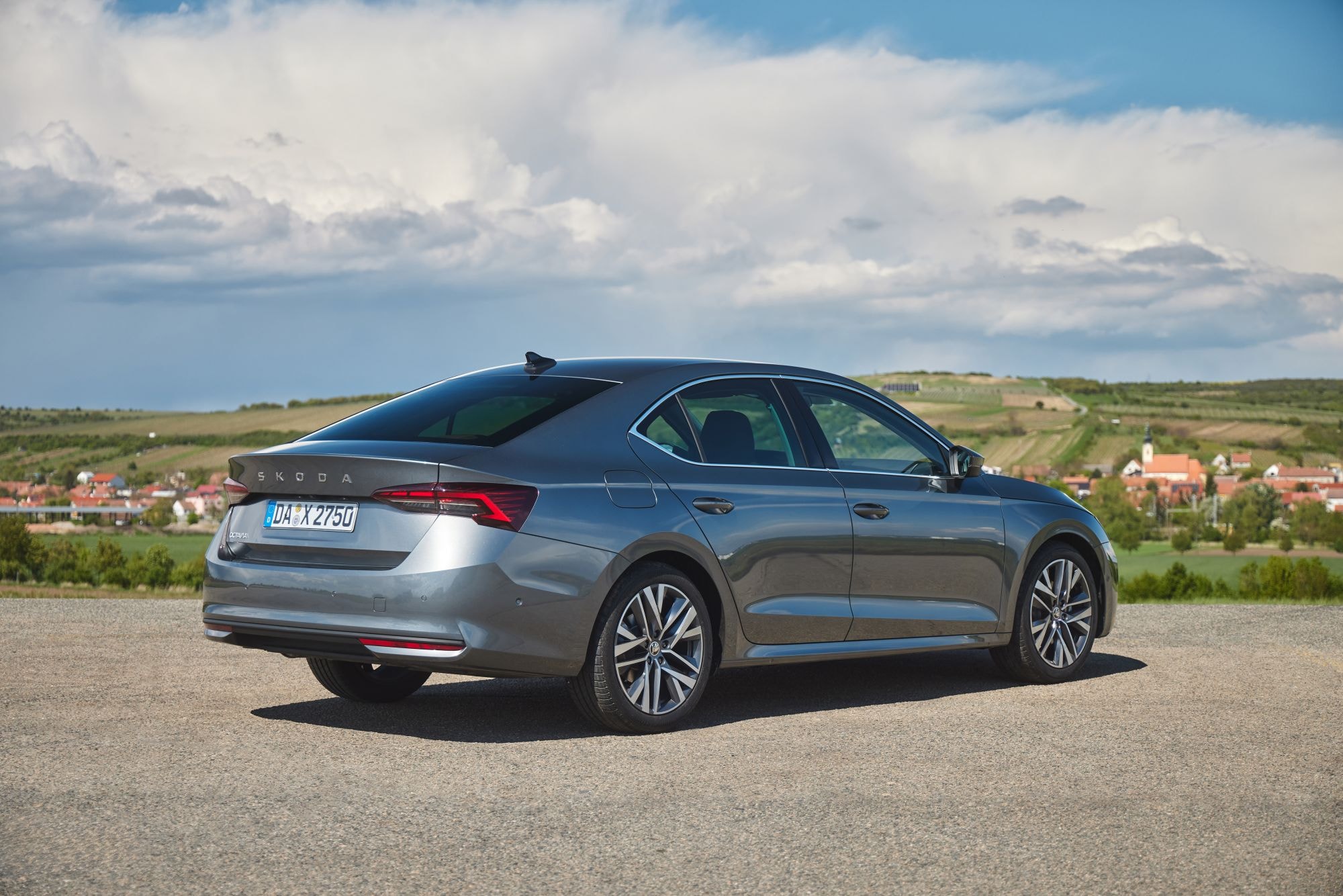 Vista lateral en entorno montañoso, ejemplificando su adaptabilidad.