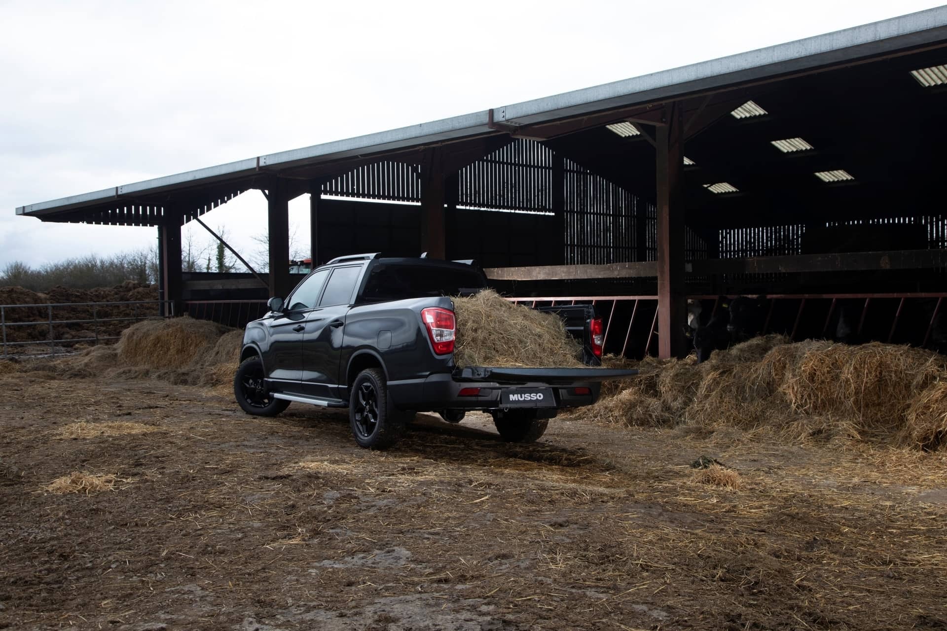 Musso en uso laboral, trasladando heno, ideal para trabajos agrícolas.