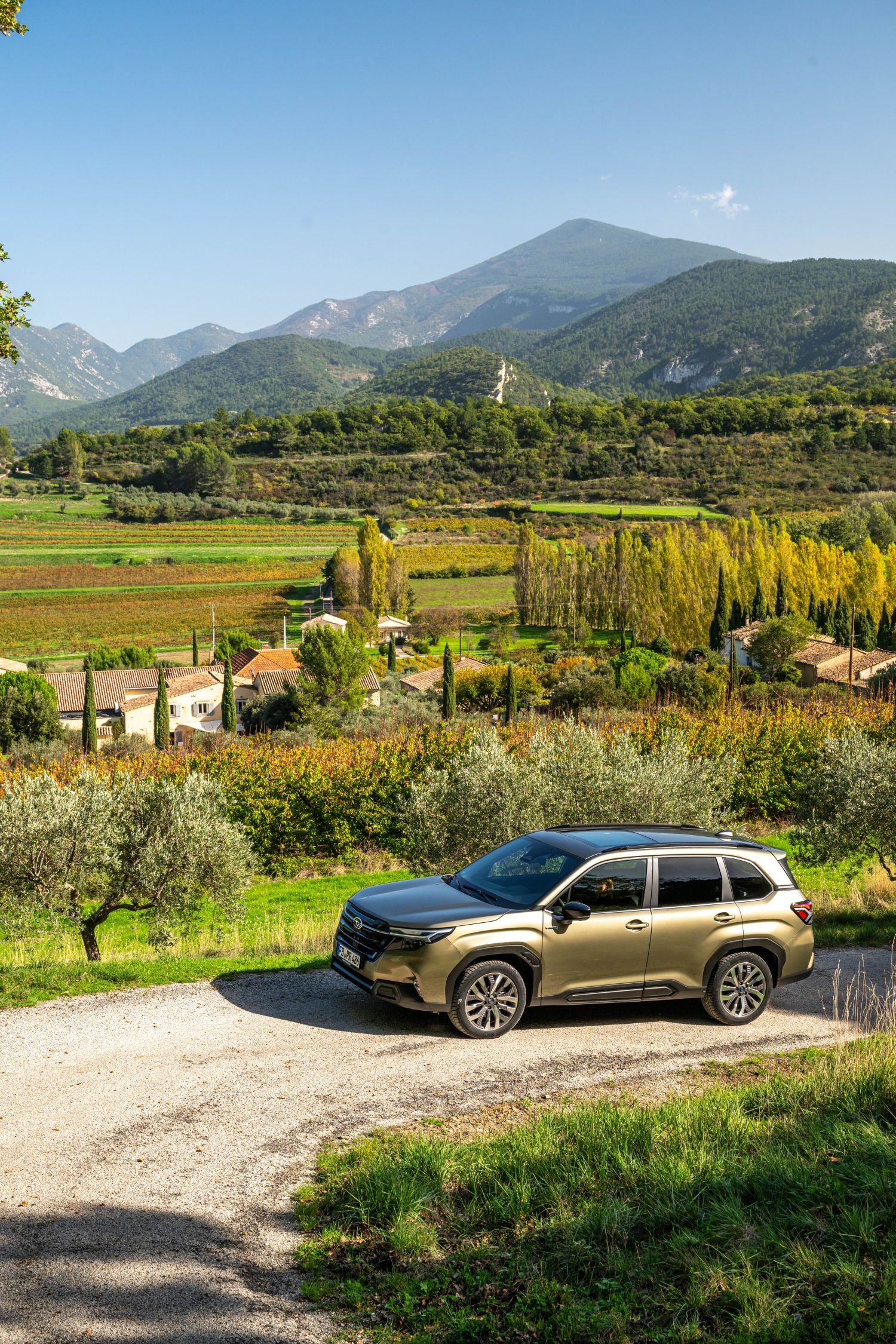 Detalle de la luz trasera del Forester, un toque elegante y moderno