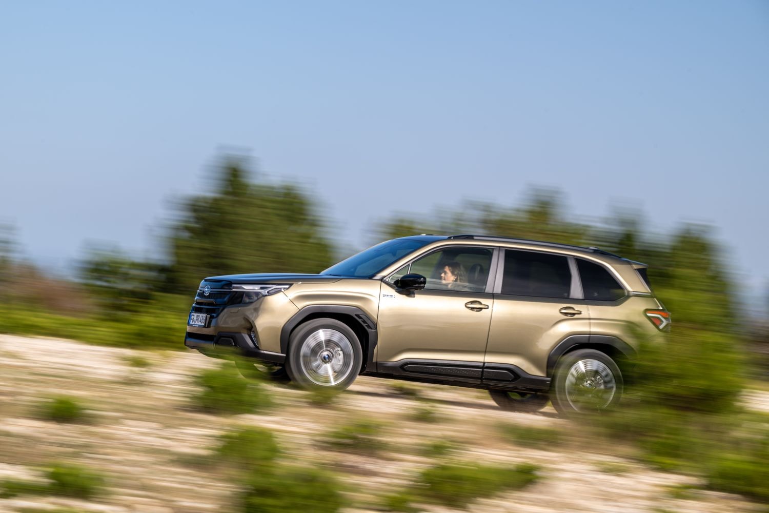Vista trasera del Subaru Forester, ideal para visualizar su aerodinámica.