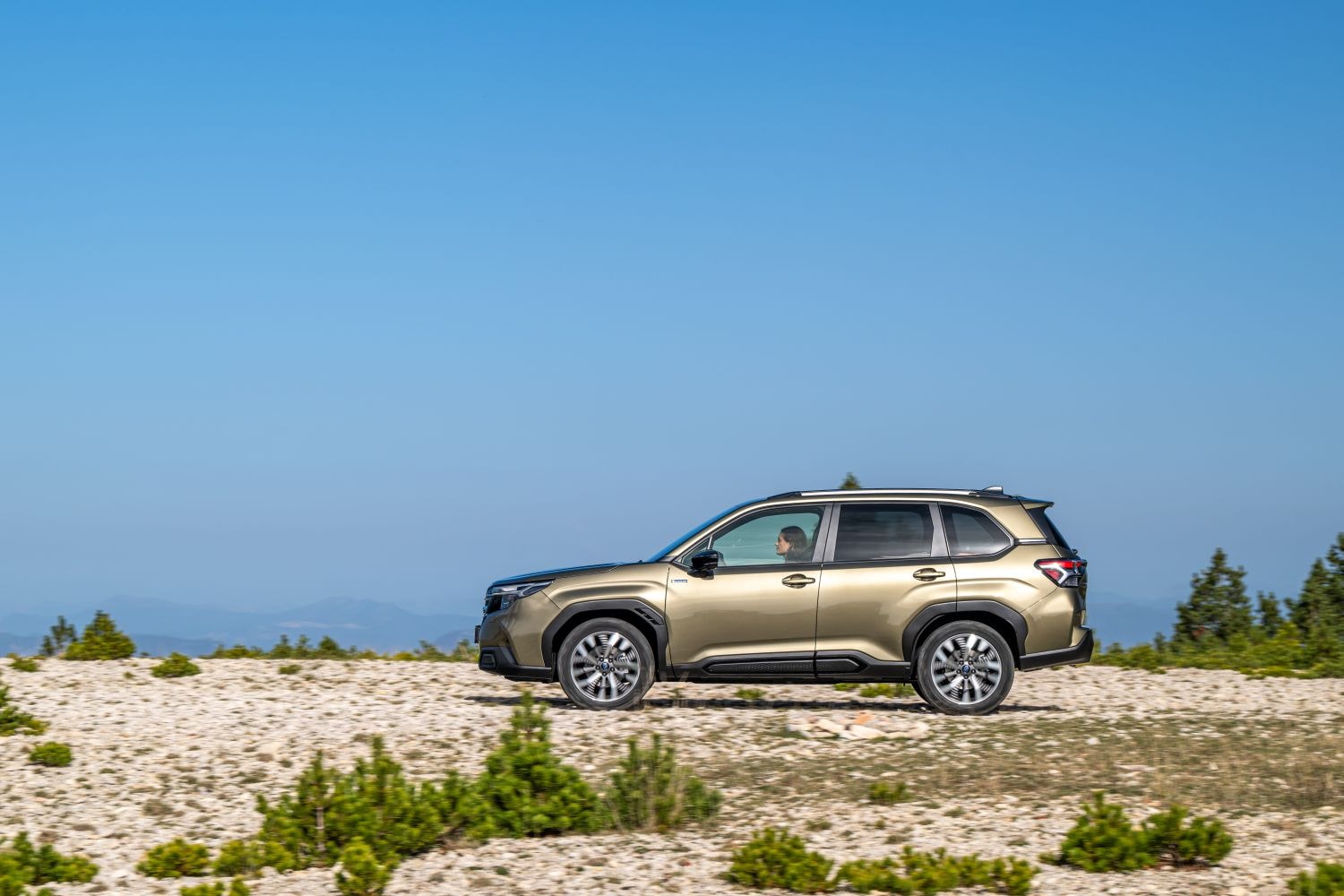 Vista lateral del Subaru Forester en un entorno natural, destacando su diseño robusto.