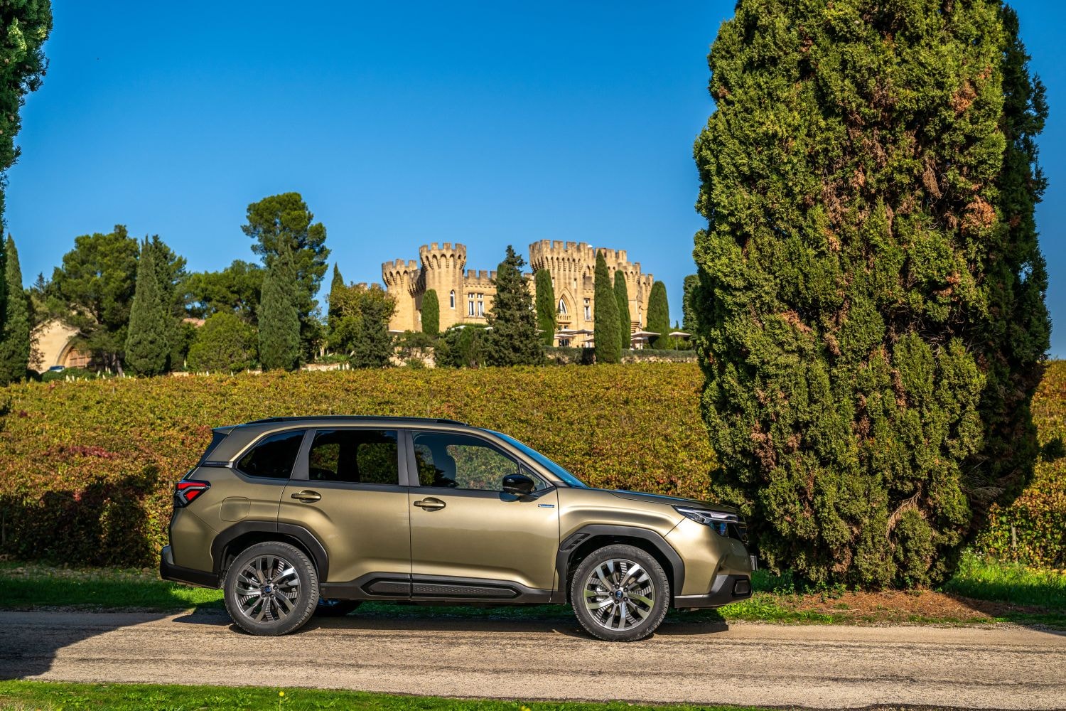 Asientos delanteros del Subaru Forester, diseñados para máximo confort y soporte.