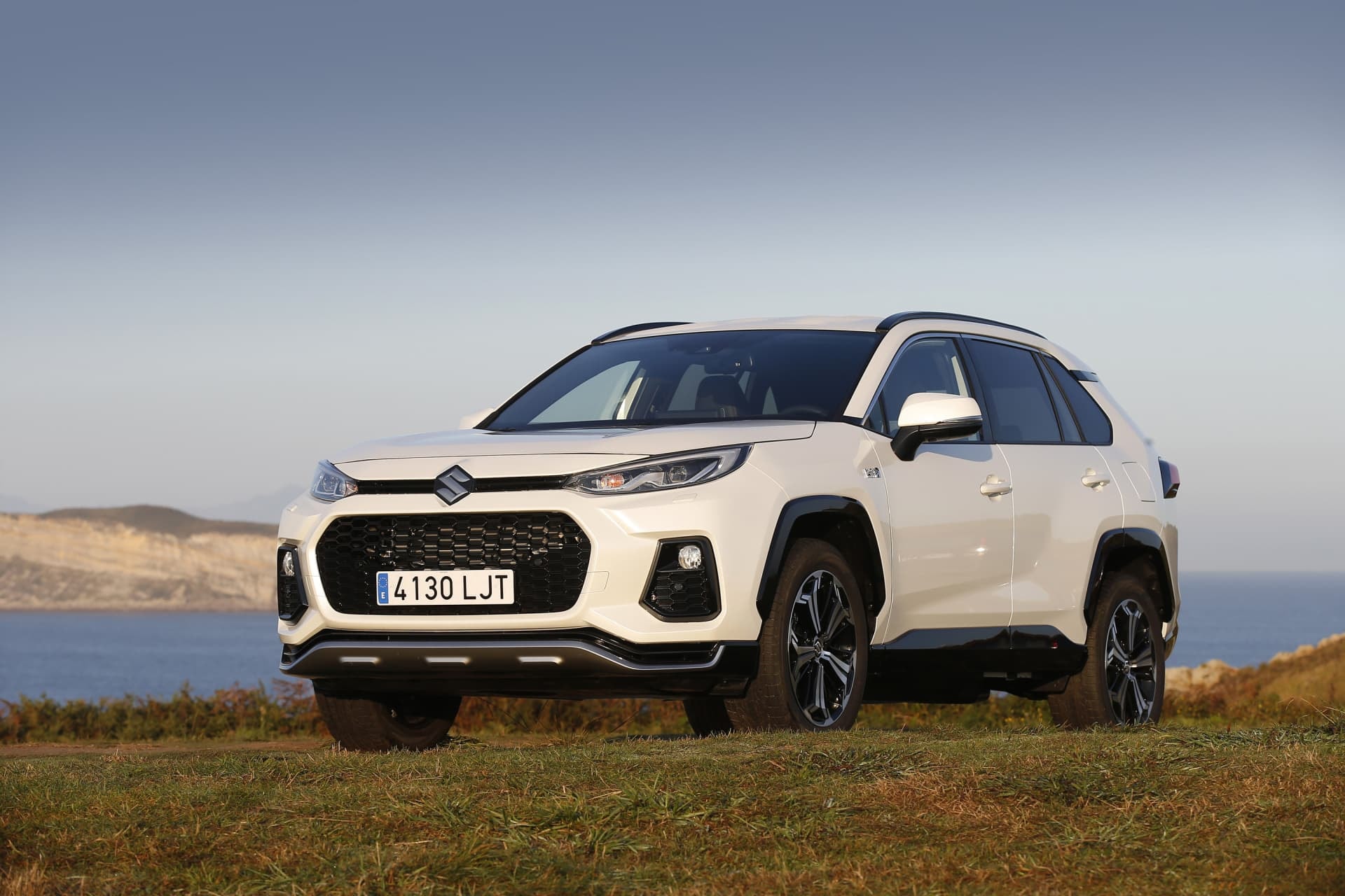 Vista lateral del Suzuki Across híbrido con paisaje campestre.
