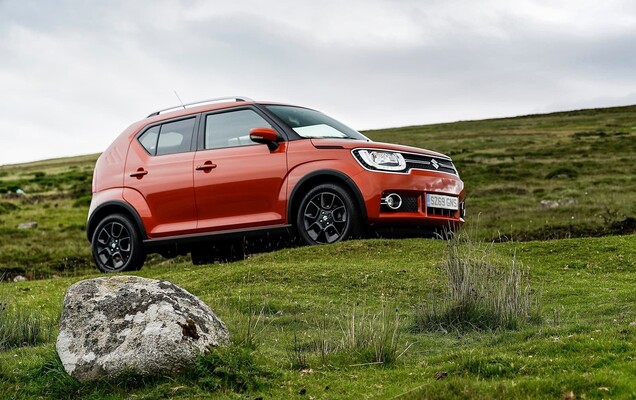 Ignis en ambiente natural, resaltando su carácter aventurero lateralmente. Ignis en ambiente natural, resaltando su carácter aventurero lateralmente.