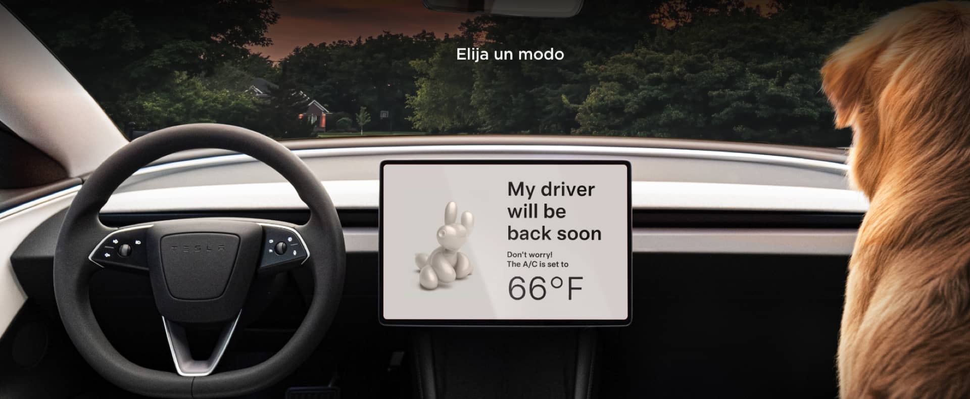 Modo Sentry activo en pantalla del Tesla Model 3, seguridad máxima.