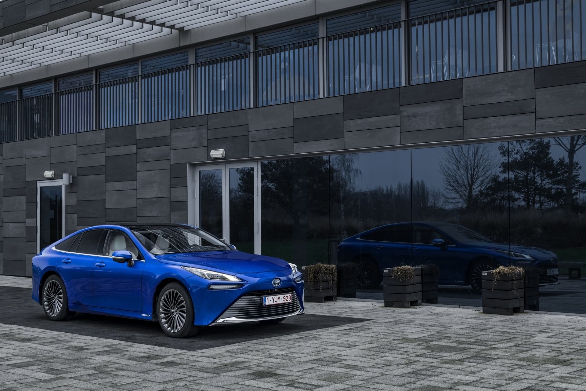 Mirai capturado en un ambiente sereno, enfocando su silueta elegante.