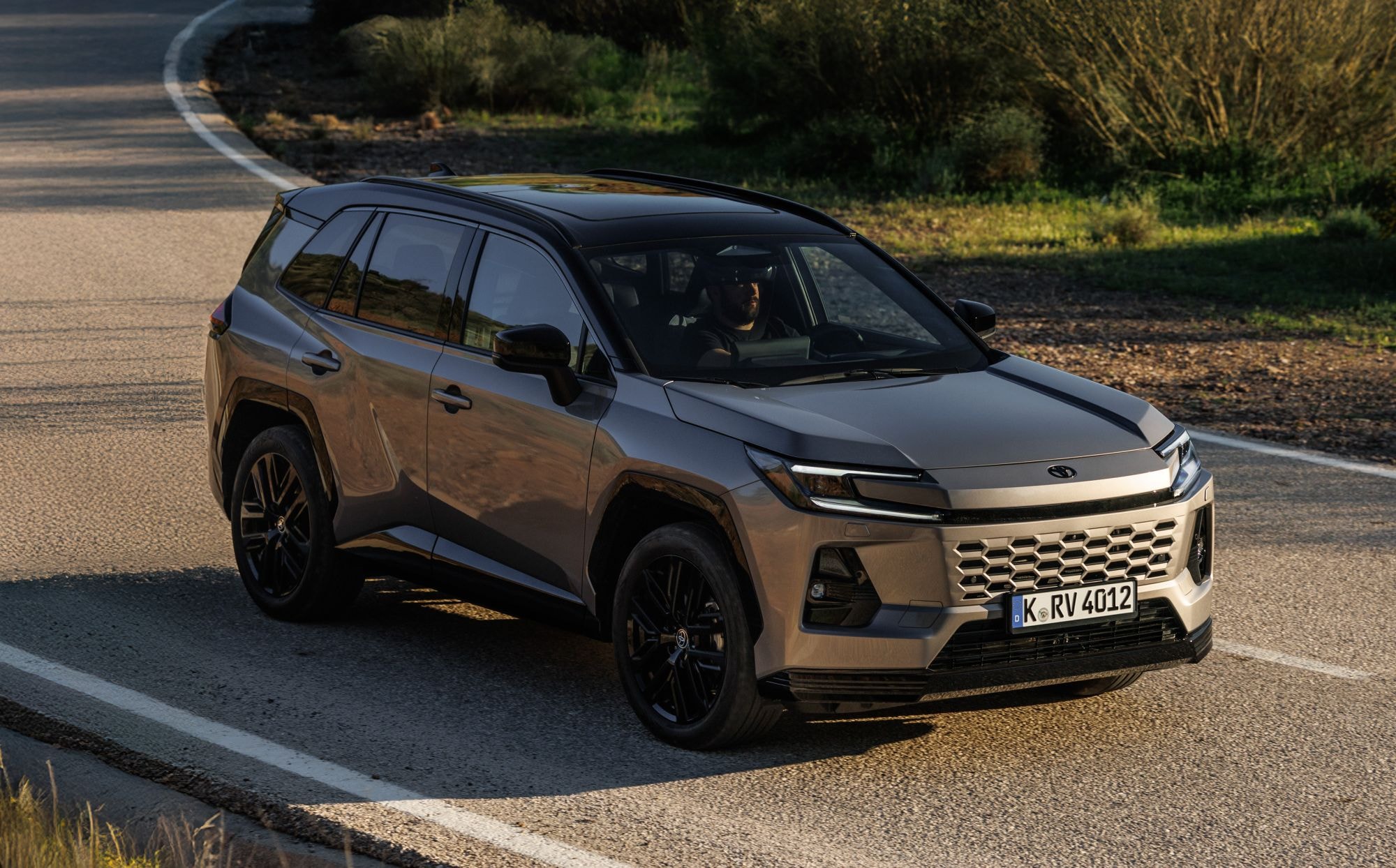 Toyota RAV4 Híbrido