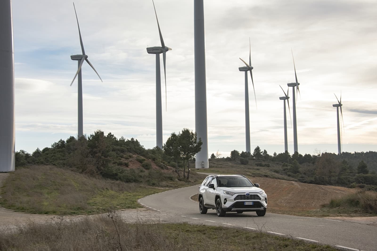 El RAV4 híbrido en contexto con la naturaleza, remarcando su lado ecológico junto a molinos de viento.