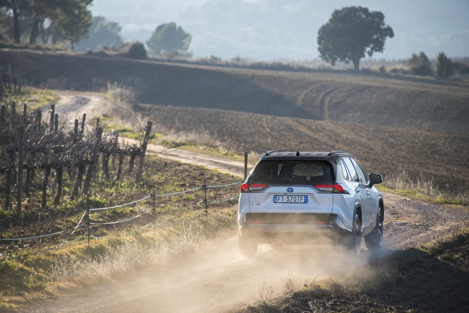 Toyota RAV4 Híbrido desplazándose por caminos rurales con destreza