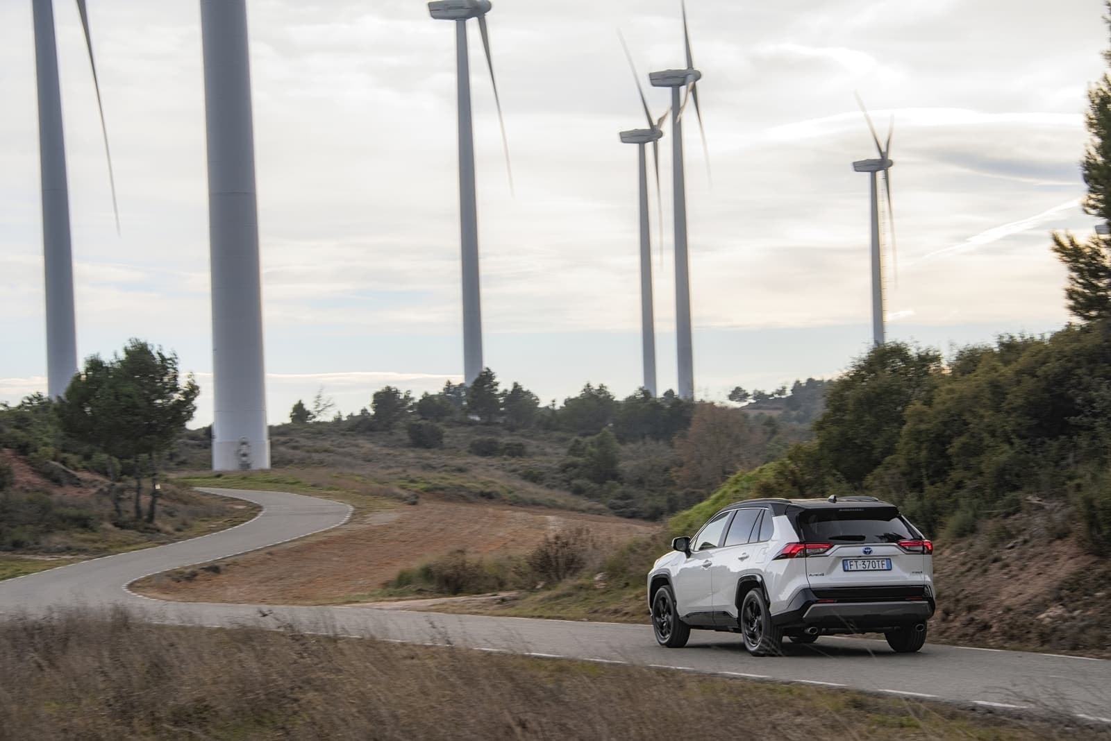 Vista trasera del RAV4 Híbrido en carretera rural con molinos eólicos.