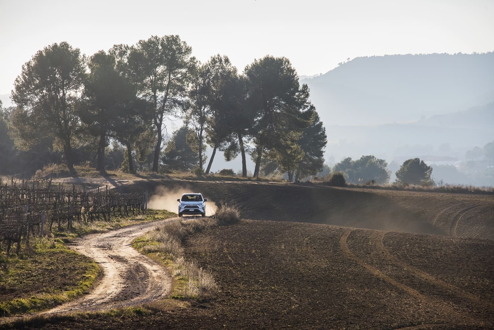 Perfil lateral del RAV4 híbrido en entorno rural
