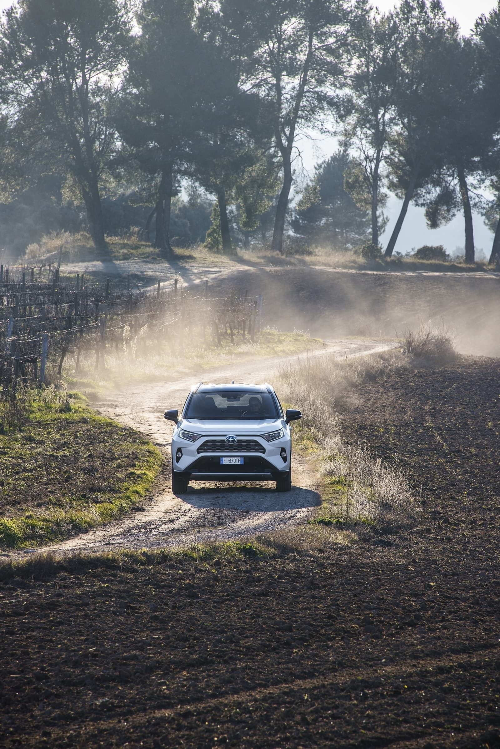 Imagen dinámica del RAV4 híbrido en carretera con paisaje de fondo