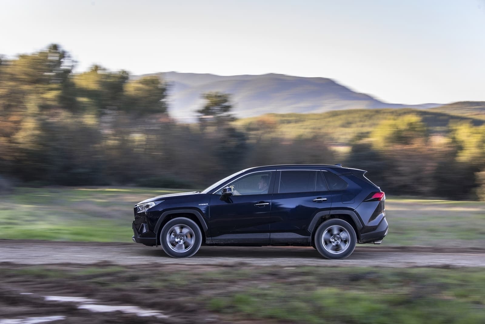 Captura dinámica en un entorno rural mostrando la línea y movimiento lateral del RAV4.