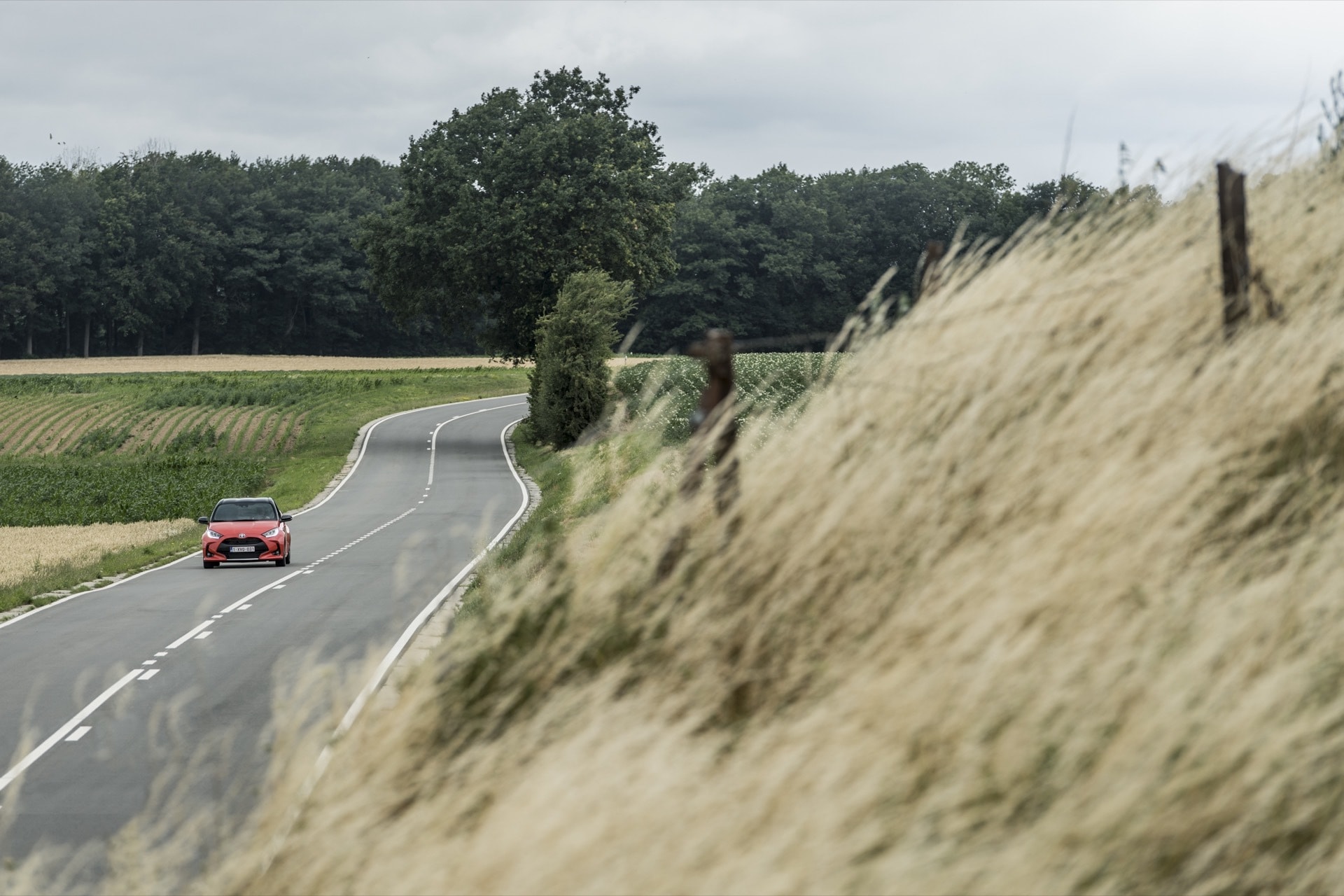 Vista de la parte trasera del Yaris en un contexto de vida urbana.