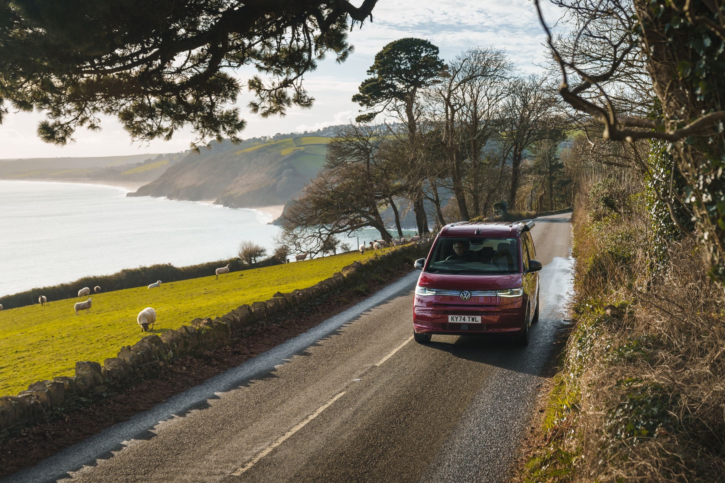 Volkswagen California