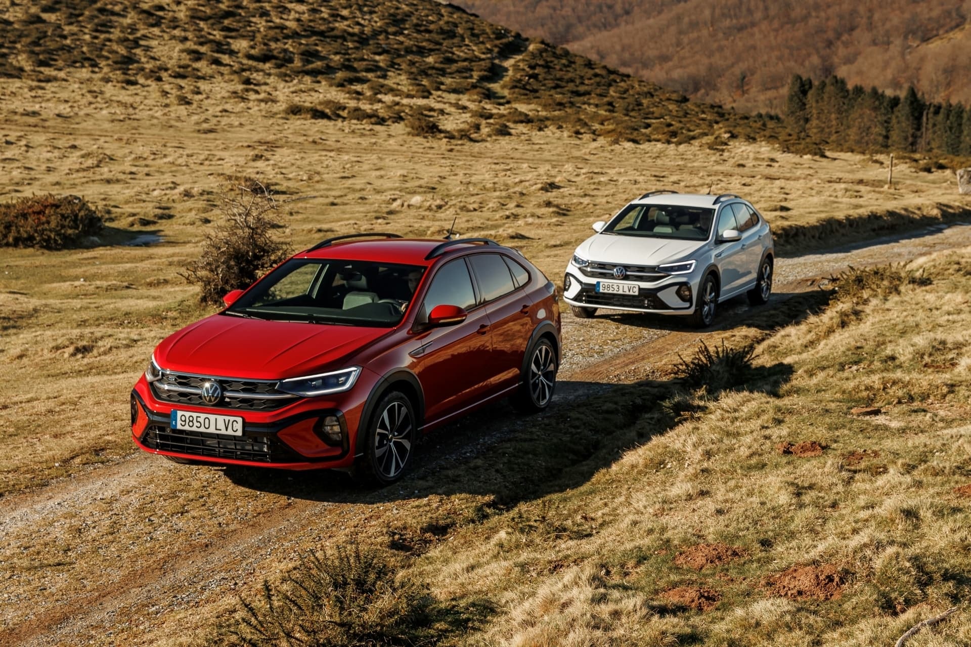 Dos Taigo en el campo muestran lineas laterales y frontales.