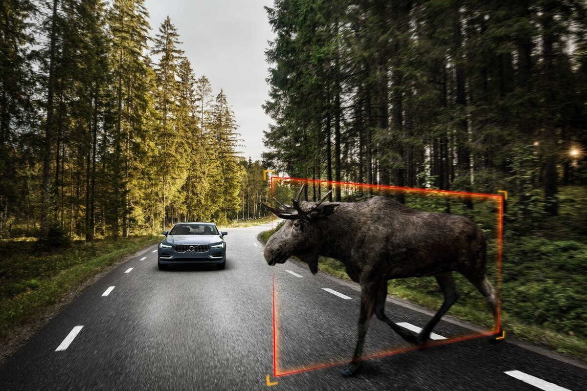 Sistema de detección de alces de Volvo S90, con imagen de aviso en tiempo real. Sistema de detección de alces de Volvo S90, con imagen de aviso en tiempo real.